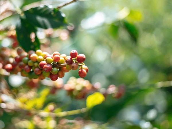 phân tích dư lượng bảo vệ thực vật